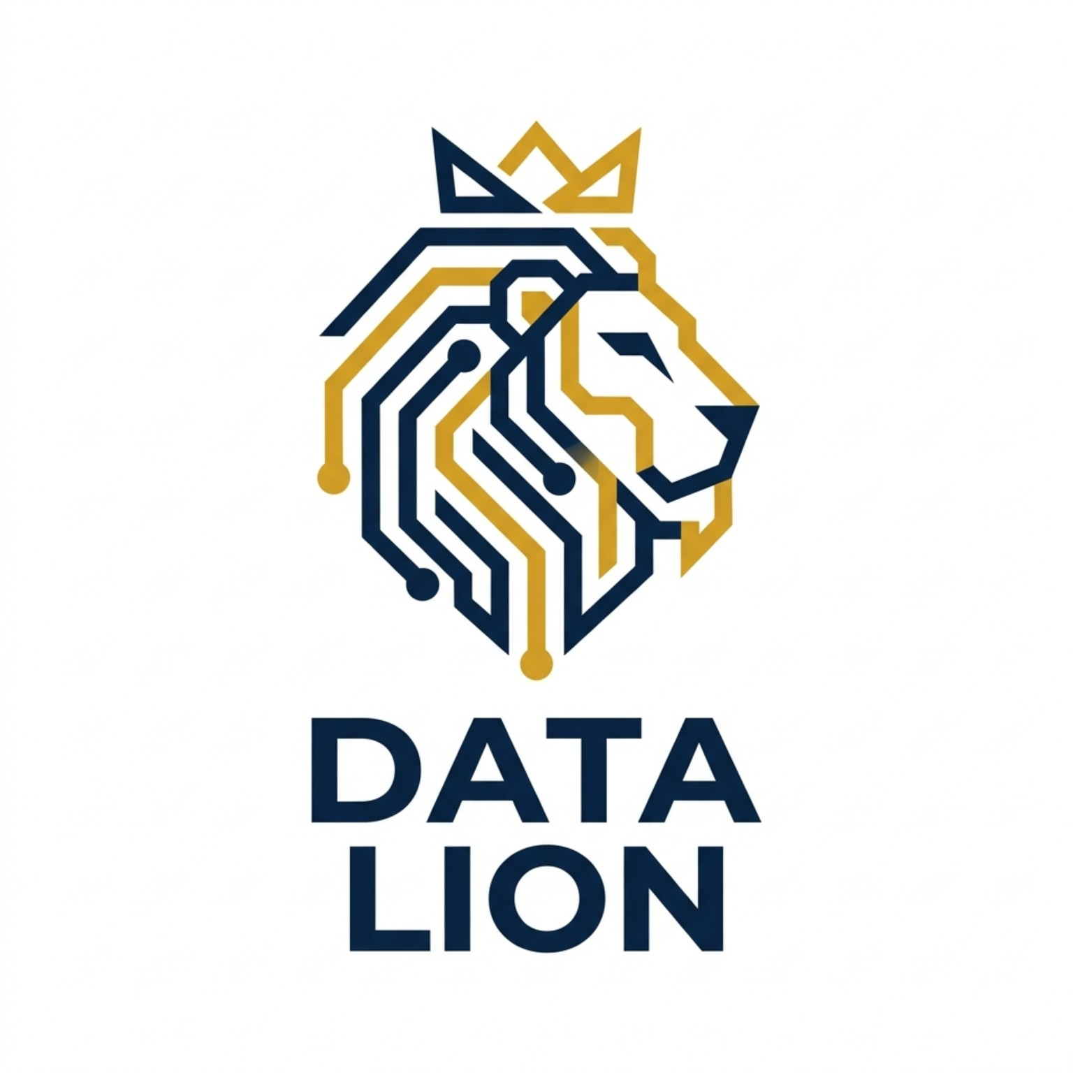 The Data Lion Academy logo